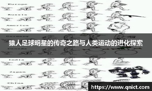 猿人足球明星的传奇之路与人类运动的进化探索